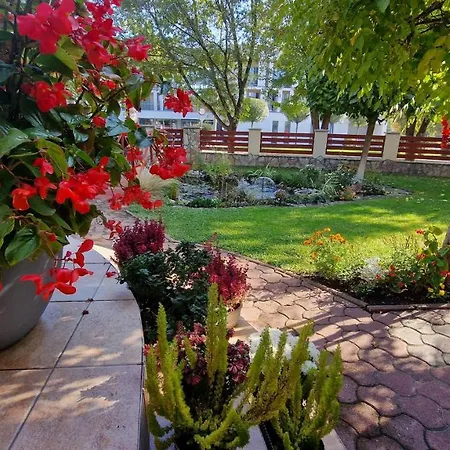 Veronika Guest house