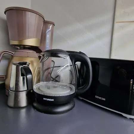 招待所 维罗妮卡别墅 4*