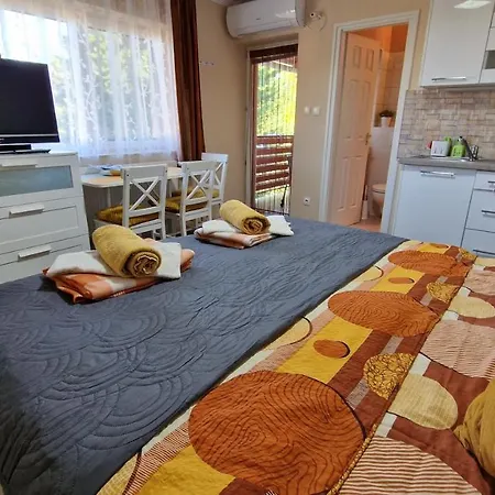 Guest house Veronika 4*